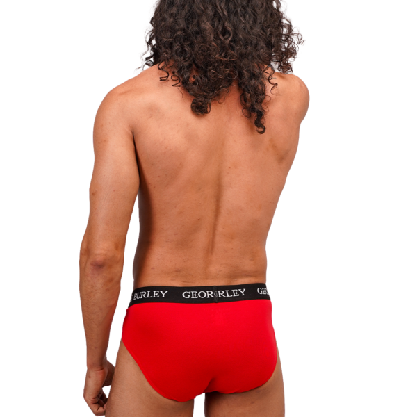 Classics 2Pack Briefs view 3
