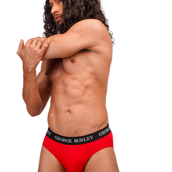 Classics 2Pack Briefs view 4