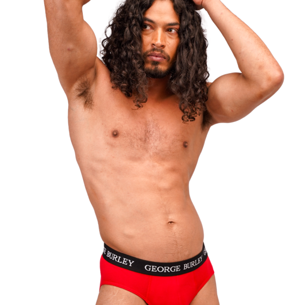 Classics 2Pack Briefs view 2