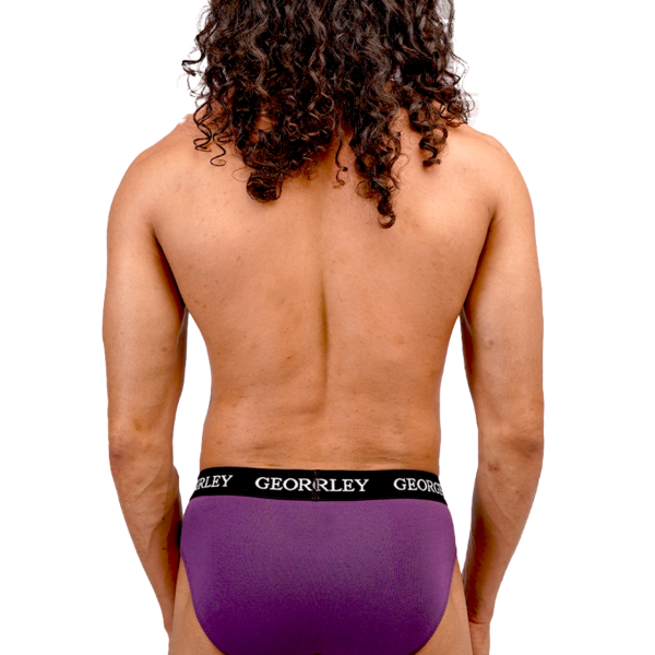 Classics 2Pack Briefs view 3
