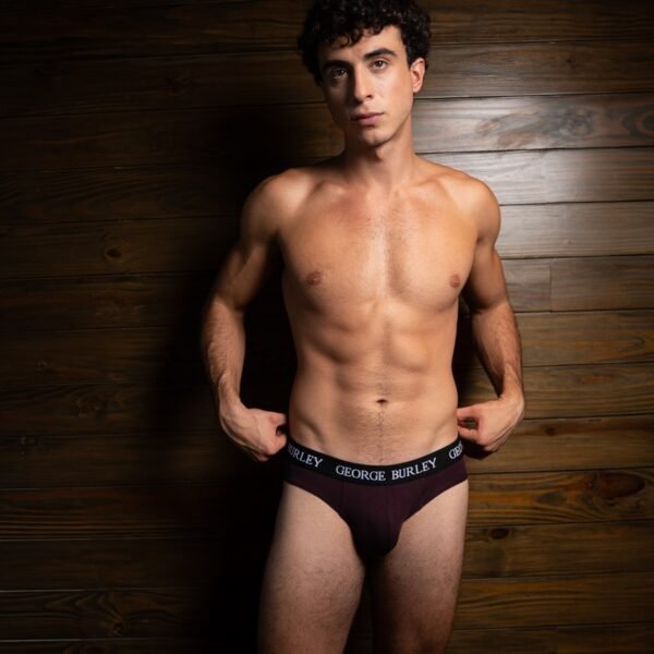 Classics 2Pack Briefs view 3