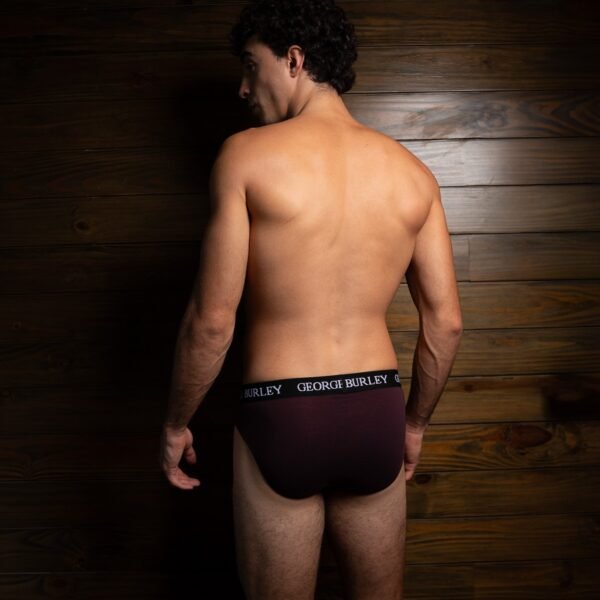 Classics 2Pack Briefs view 4