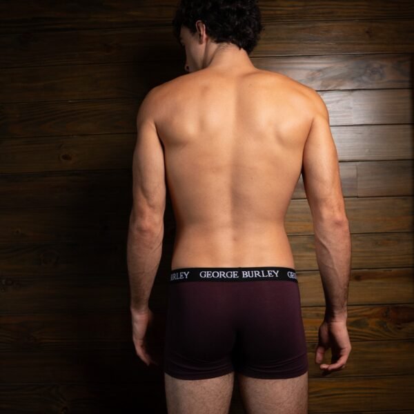 Classics 2Pack Trunks view 3