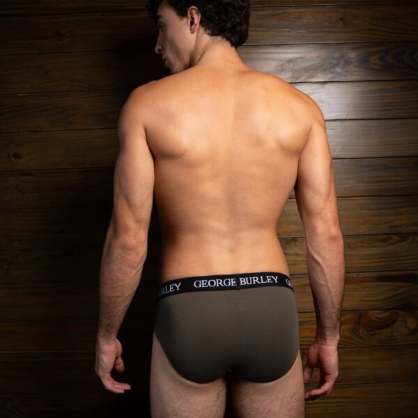 Classics 2Pack Briefs view 6