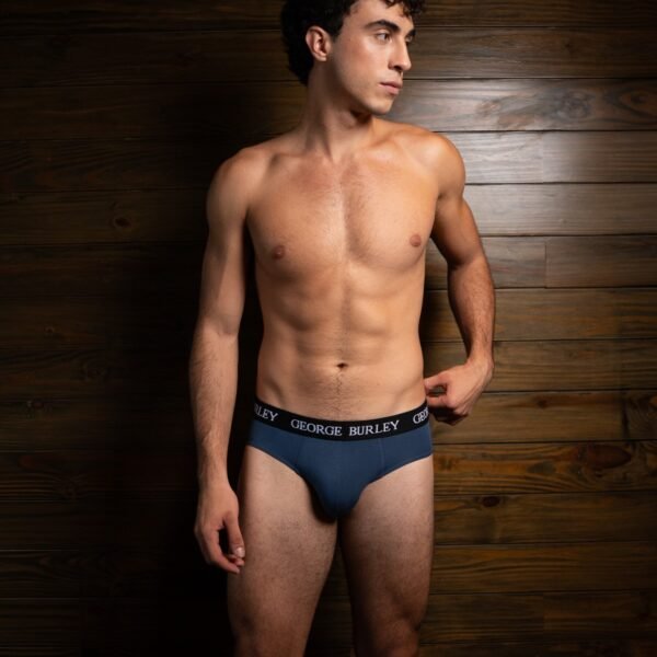 Classics 2Pack Briefs view 5