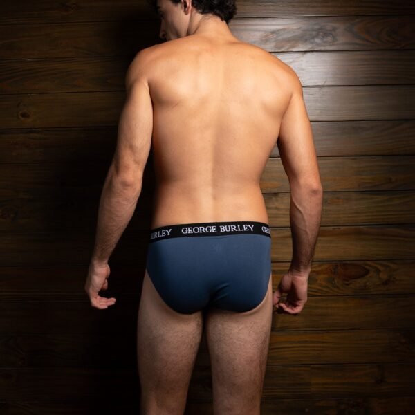 Classics 2Pack Briefs view 6
