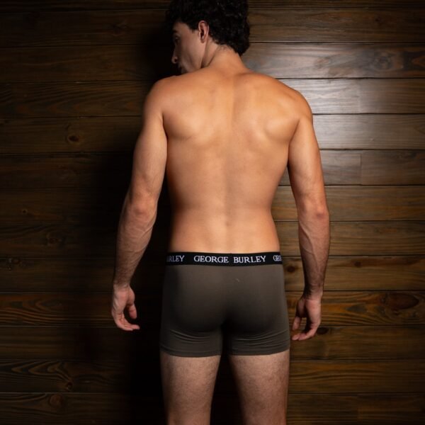 Classics 3Pack Boxers view 5