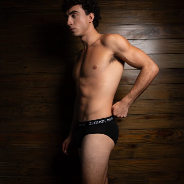 Classics 2Pack Briefs view 4